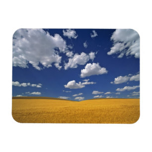 VS, Washington State, Colfax. Ripe gerst ontmoet Magneet