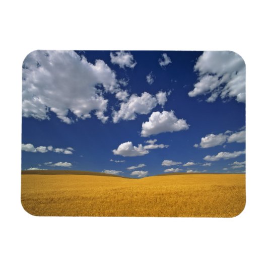 VS, Washington State, Colfax. Ripe gerst ontmoet Magneet (Horizontaal)