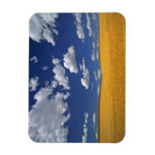 VS, Washington State, Colfax. Ripe gerst ontmoet Magneet (Verticaal)