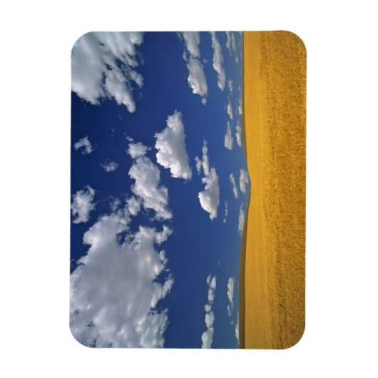 VS, Washington State, Colfax. Ripe gerst ontmoet Magneet (Verticaal)