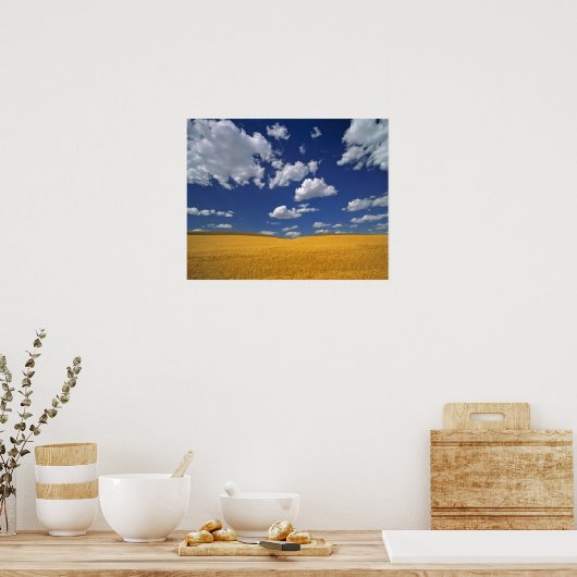 VS, Washington State, Colfax. Ripe gerst ontmoet Poster (Keuken)