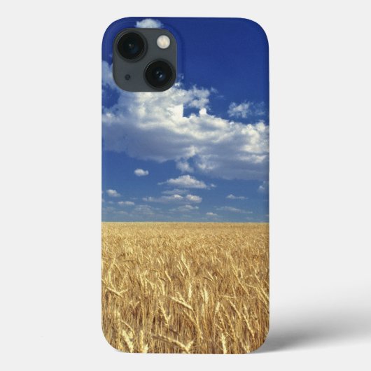 VS, Washington State, Colfax. Ripe tarwe Case-Mate iPhone Case (Achterkant)