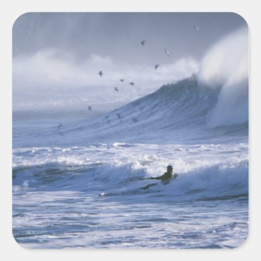 VS, Washington State, La Push. Man kayak Vierkante Sticker (Voorkant)