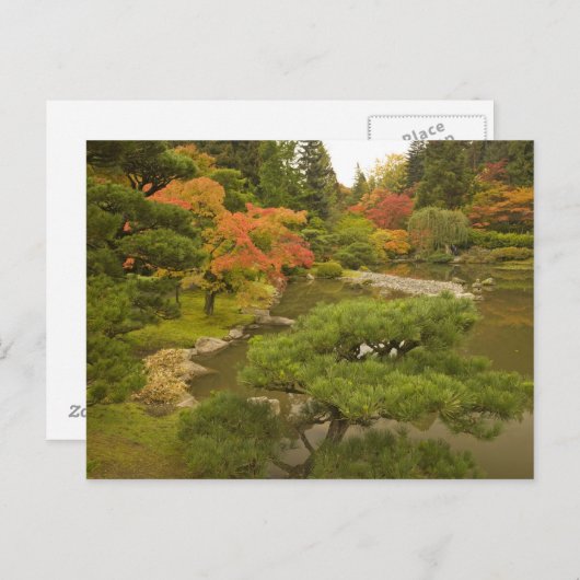 VS, Washington State, Seattle. Internationaal > Ja Briefkaart (Voorkant / Achterkant)