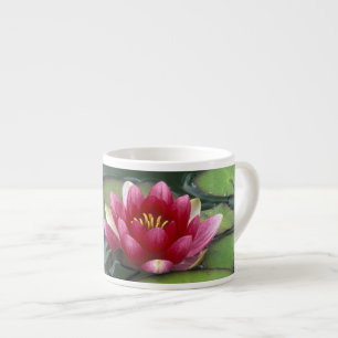 VS, Washington State, Seattle. Waterlelie en Espresso Kop