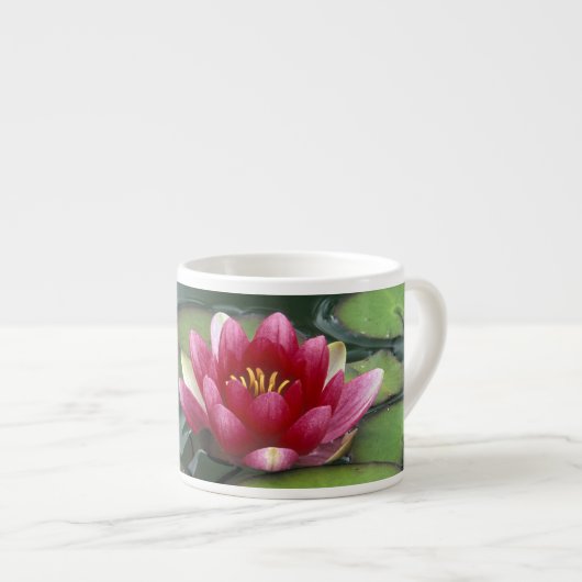 VS, Washington State, Seattle. Waterlelie en Espresso Kop (Voorkant rechts)