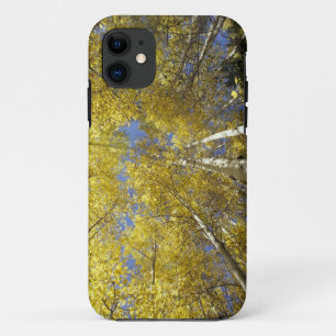 VS, Washington, Stevens Pass Herfstgekleurde esp iPhone 11 Hoesje