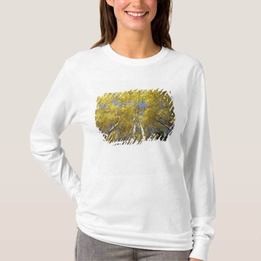 VS, Washington, Stevens Pass Herfstkleuring van es T-shirt (Voorkant)