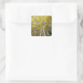 VS, Washington, Stevens Pass Herfstkleuring van es Vierkante Sticker (Tas)