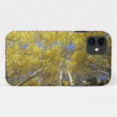 VS, Washington, Stevens passeren Herfst-kleurige e Case-Mate iPhone Case (Achterkant (horizontaal))
