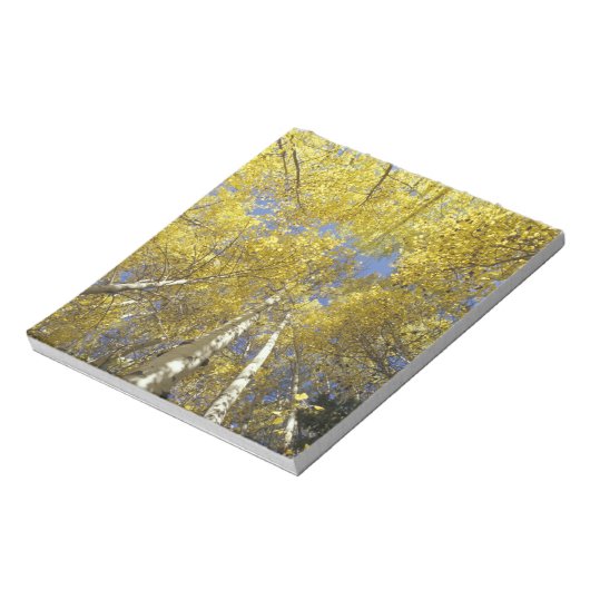 VS, Washington, Stevens passeren Herfst-kleurige e Notitieblok (Linkerzijde)