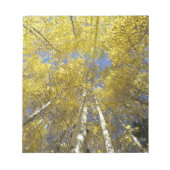 VS, Washington, Stevens passeren Herfst-kleurige e Notitieblok (Voorkant)