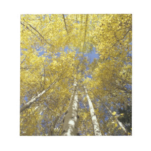 VS, Washington, Stevens passeren Herfst-kleurige e Notitieblok