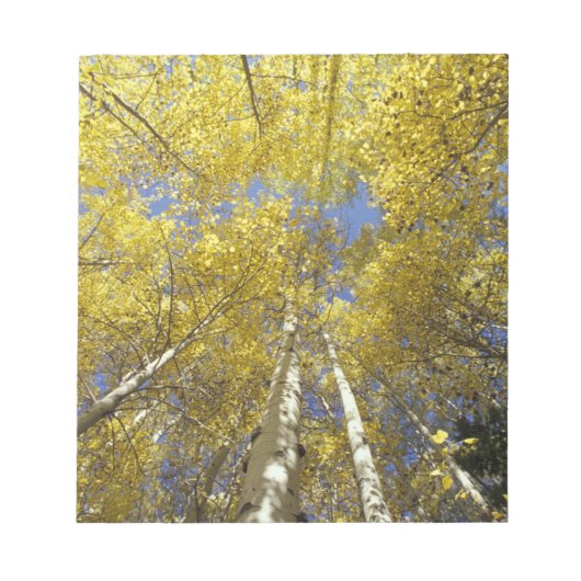 VS, Washington, Stevens passeren Herfst-kleurige e Notitieblok (Voorkant)