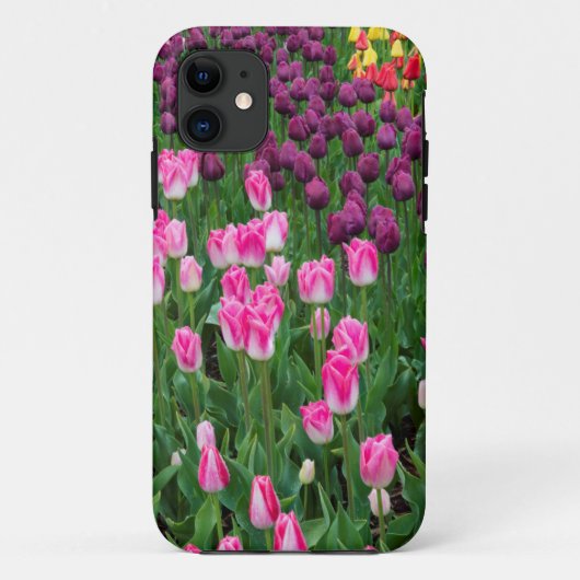 VS, Washington. Tulpen bloeien Case-Mate iPhone Case (Achterkant)