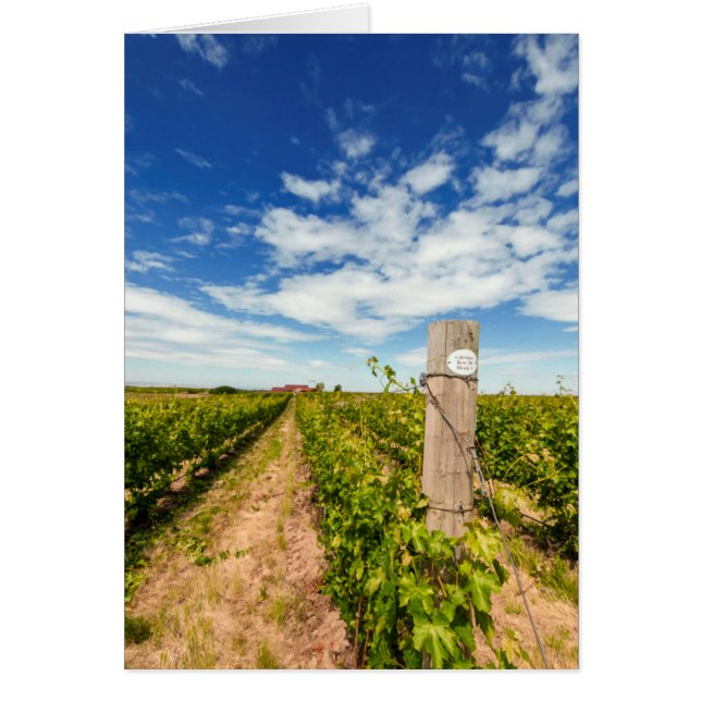 VS, Washington, Walla Walla. Cabernet Sauvignon (Voorkant)