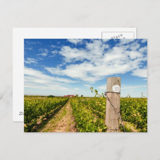 VS, Washington, Walla Walla. Cabernet Sauvignon Briefkaart (Voorkant / Achterkant)