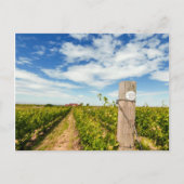 VS, Washington, Walla Walla. Cabernet Sauvignon Briefkaart (Voorkant)