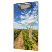 VS, Washington, Walla Walla. Cabernet Sauvignon Klembord (Links)