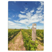 VS, Washington, Walla Walla. Cabernet Sauvignon Klembord (Achterkant)