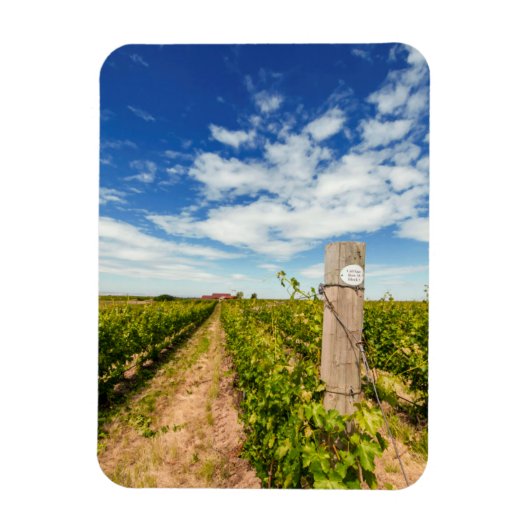 VS, Washington, Walla Walla. Cabernet Sauvignon Magneet (Verticaal)