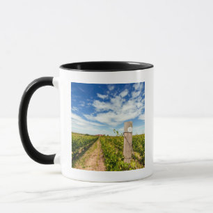 VS, Washington, Walla Walla. Cabernet Sauvignon Mok