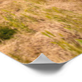 VS, Washington, Walla Walla. Cabernet Sauvignon Poster (Hoek)