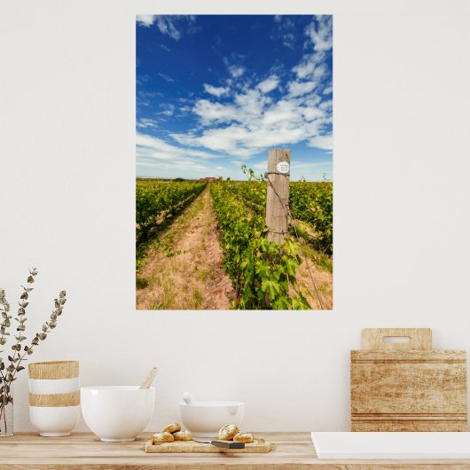 VS, Washington, Walla Walla. Cabernet Sauvignon Poster (Keuken)
