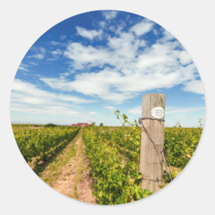 VS, Washington, Walla Walla. Cabernet Sauvignon Ronde Sticker