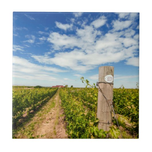 VS, Washington, Walla Walla. Cabernet Sauvignon Tegeltje (Voorkant)
