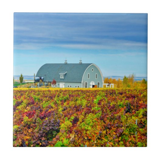 VS, Washington, Walla Walla. Garrison Creek Tegeltje (Voorkant)