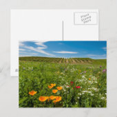 VS, Washington, Walla Walla. Wilde bloemen Briefkaart (Voorkant / Achterkant)