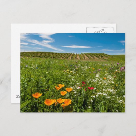VS, Washington, Walla Walla. Wilde bloemen Briefkaart (Voorkant / Achterkant)