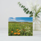 VS, Washington, Walla Walla. Wilde bloemen Briefkaart (Staand voorkant)