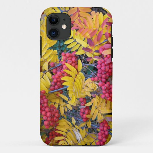 VS, Washington, Westelijke lijsterbes, Okanogan Case-Mate iPhone Case (Achterkant)