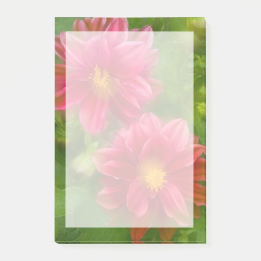 VS, Washington, Whidbey Island. Dalmontage Post-it® Notes (Voorkant)