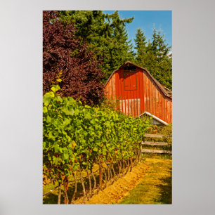 VS, Washington, Whidbey Island. Winery Poster
