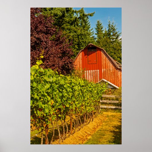VS, Washington, Whidbey Island. Winery Poster (Voorkant)