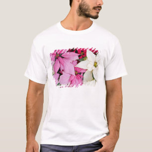 VS, Washington, Woodinville, Molbak's Nursery, 2 T-shirt