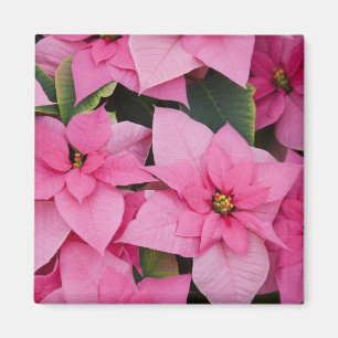VS, Washington, Woodinville, Molbak's Nursery, 3 Magneet