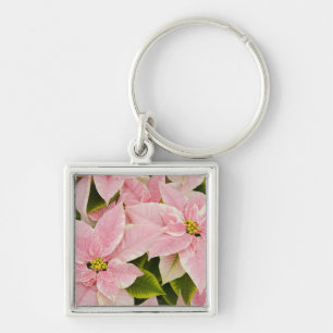 VS, Washington, Woodinville, Molbak's Nursery, 4 Sleutelhanger