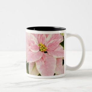 VS, Washington, Woodinville, Molbak's Nursery, 4 Tweekleurige Koffiemok