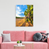 VS, Washington, Yakima-vallei. Merlotdruiven Canvas Afdruk (Insitu (Woonkamer))