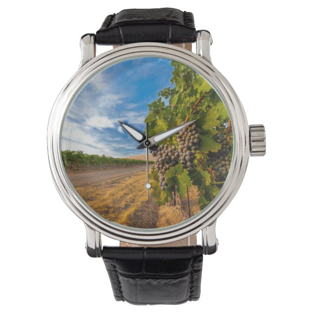 VS, Washington, Yakima-vallei. Merlotdruiven Horloge (Voorkant)