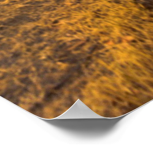 VS, Washington, Yakima Valley. Merlot Grapes Poster (Hoek)