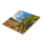 VS, Washington, Yakima Valley. Merlot Grapes Tegeltje (Zijkant)