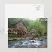 VS, West Virginia, Babcock SP. Rustic Glade Briefkaart (Voorkant / Achterkant)