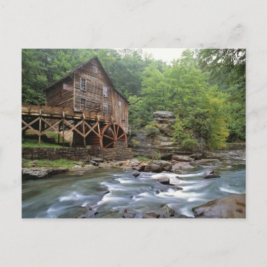 VS, West Virginia, Babcock SP. Rustic Glade Briefkaart (Voorkant)