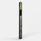 VS, West Virginia, Babcock SP. Rustic Glade Case-Mate iPhone Case (Achterkant/rechts)