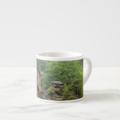 VS, West Virginia, Babcock SP. Rustic Glade Espresso Kop (Voorkant rechts)